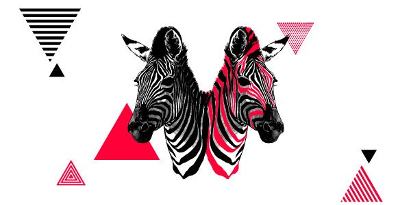 Whatzhat design zebra about us black red, animal color photoshop design.