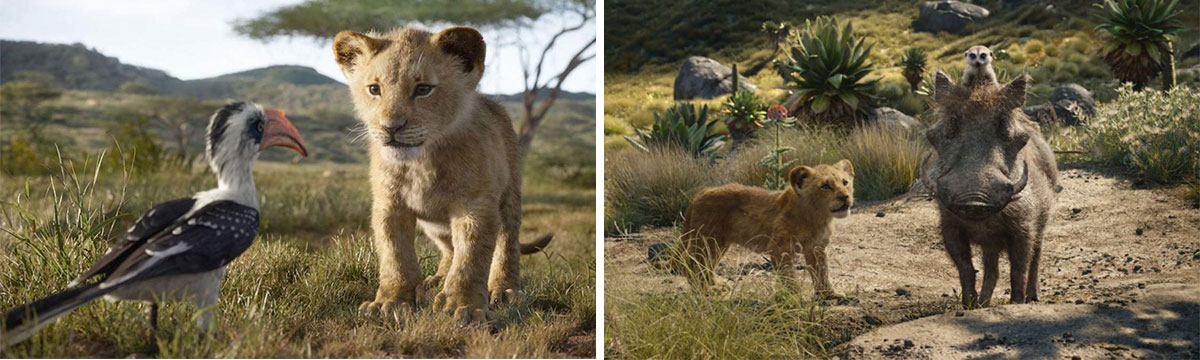 Le roi Lion 2019 images du films Simba