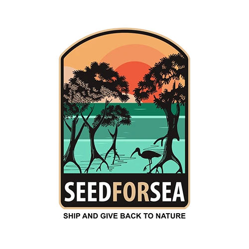 Logo Seed for Sea avec illustration de mangroves, héron, mer turquoise et coucher de soleil.